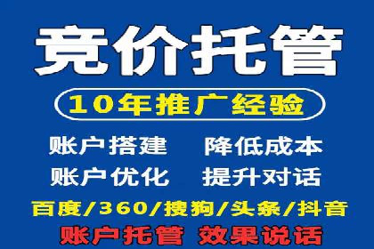 SEM服务公司成功案例解读